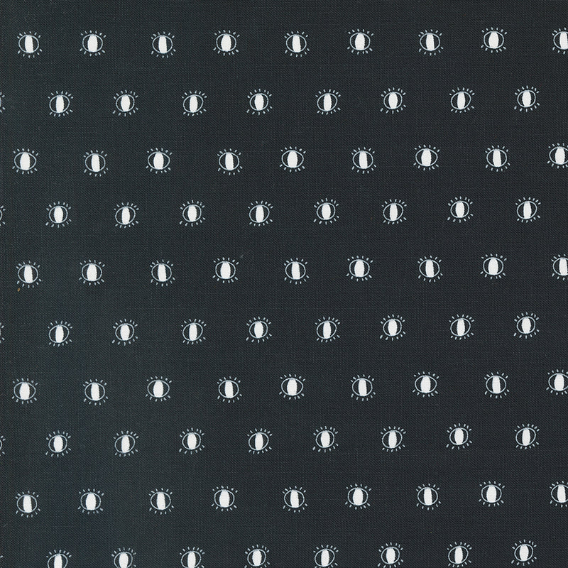 Noir Quilt Fabric - Watching Eyes in Midnight Black/Ghost White - 11546 13