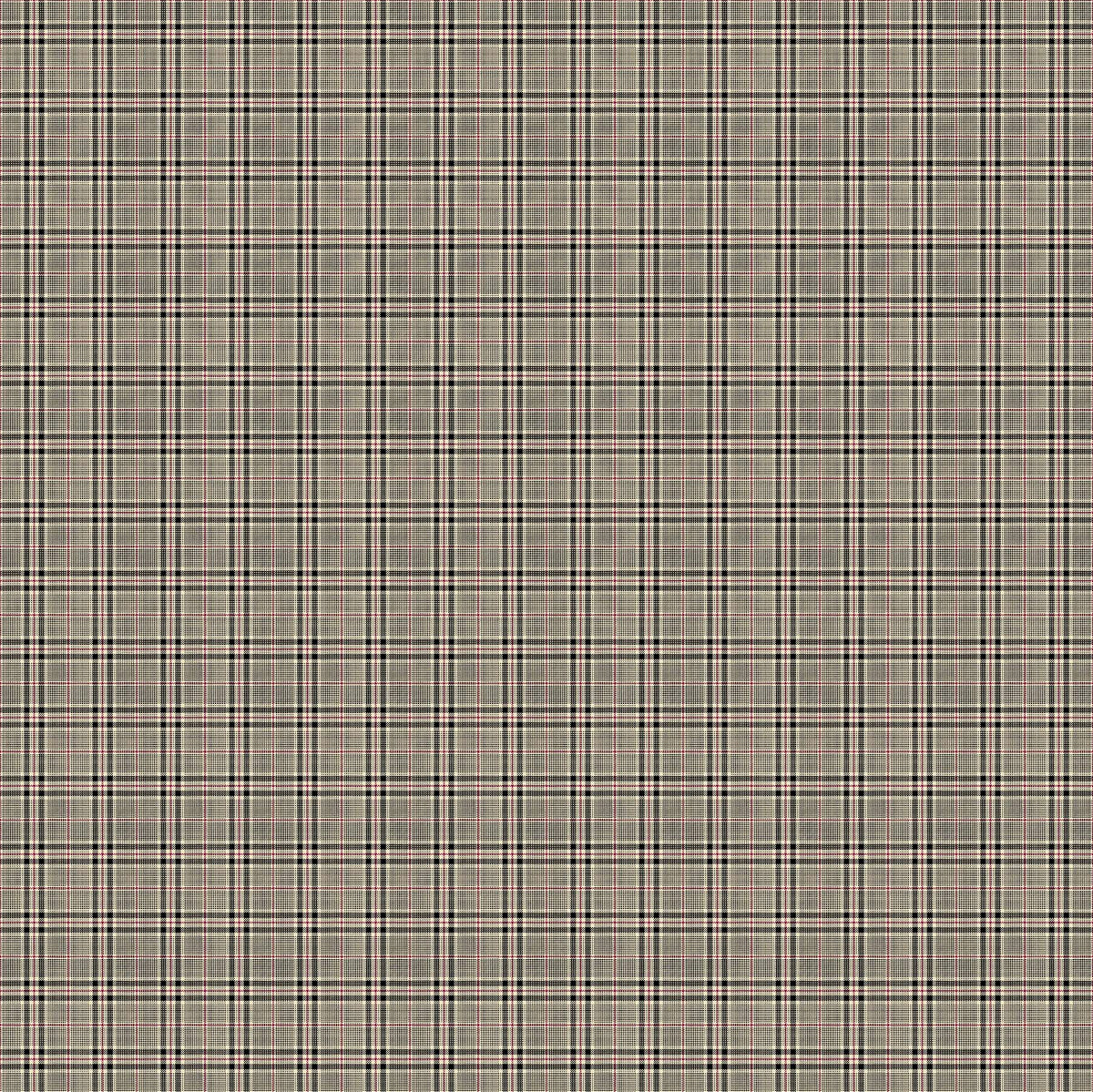 Cat Tales Quilt Fabric - Small Plaid in Beige Multi - 24533-12