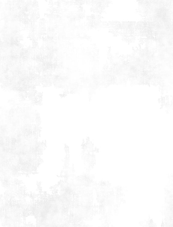 Dry Brush Quilt Fabric White on White 1077 89205 100 Cary