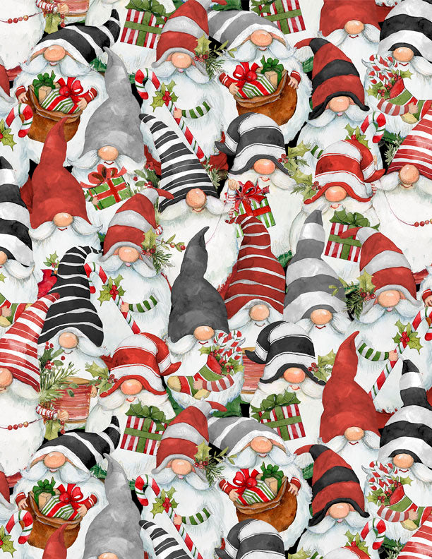 Merry Gnome-ments - Packed Gnomes in Multi - 3023 39891 139