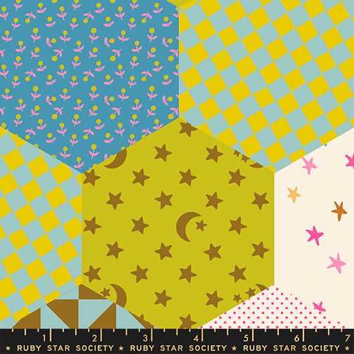108" Catnap Quilt Backing Fabric by Ruby Star Society - Hexagon Patchwork Cheater in Posy Multi - RS4138 13