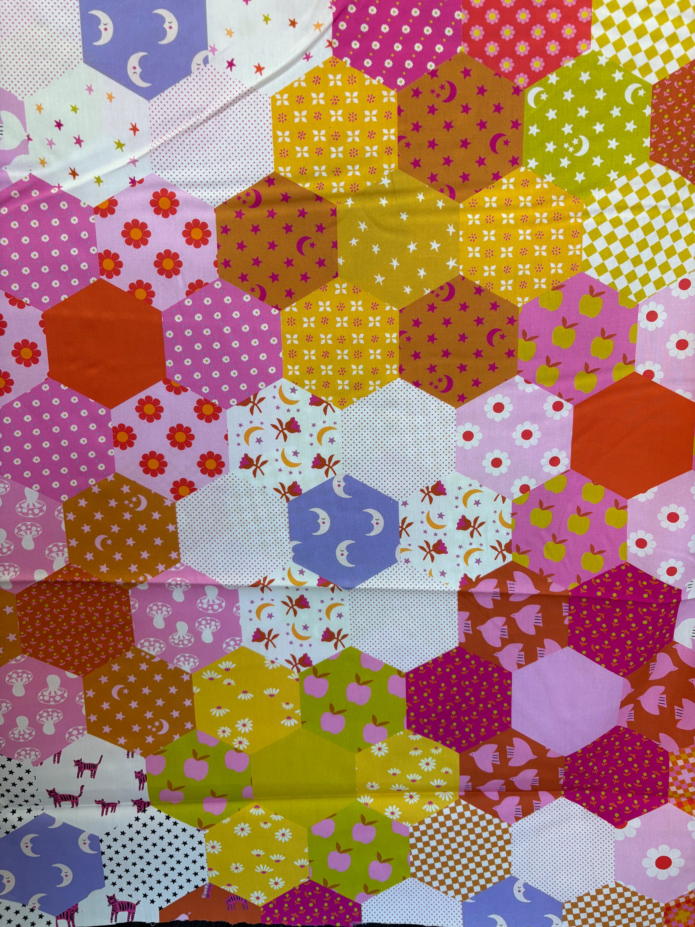 108" Catnap Quilt Backing Fabric by Ruby Star Society - Hexagon Patchwork Cheater in Thistle Multi - RS4138 12