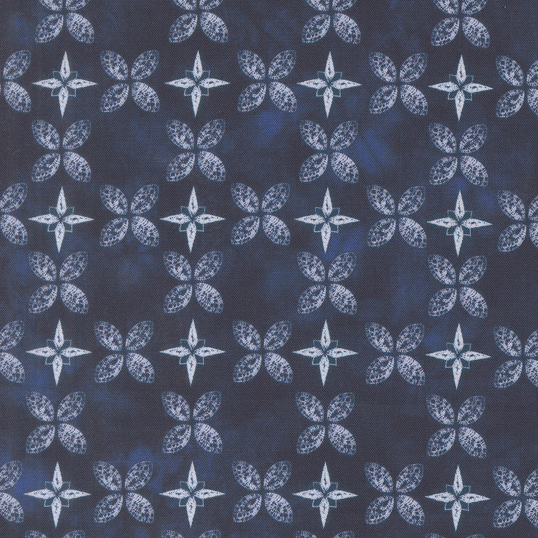 Winter Chill Quilt Fabric - Compass and Peel in Midnight - 48106 13
