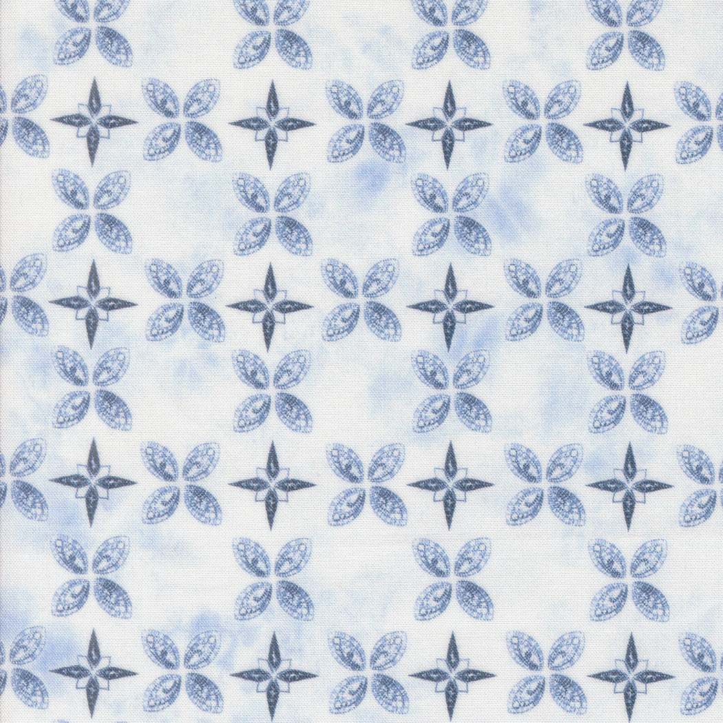 Winter Chill Quilt Fabric - Compass and Peel in Frost - 48106 14