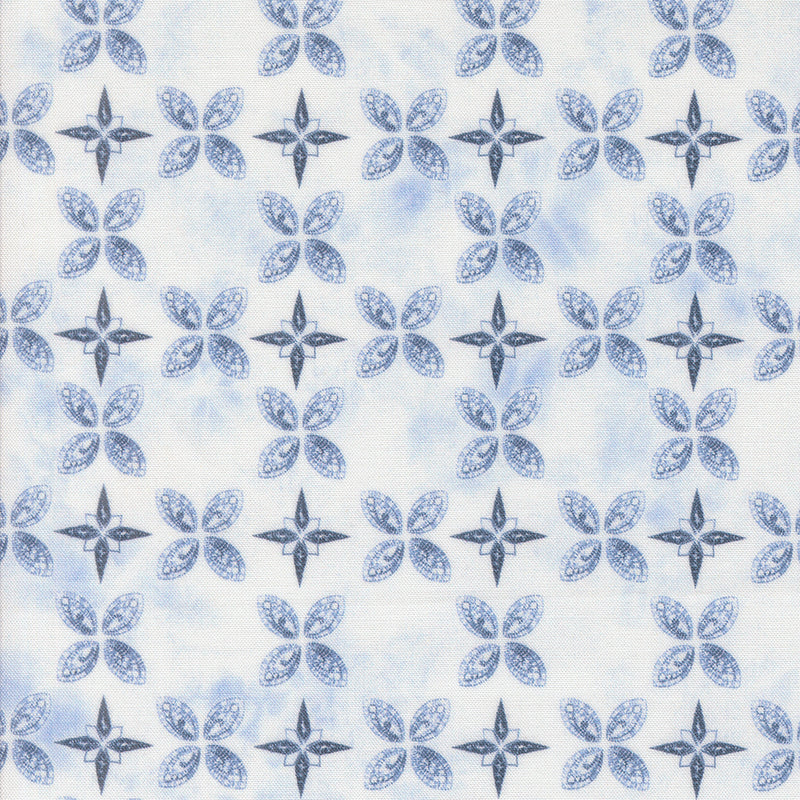 Winter Chill Quilt Fabric - Compass and Peel in Frost - 48106 14