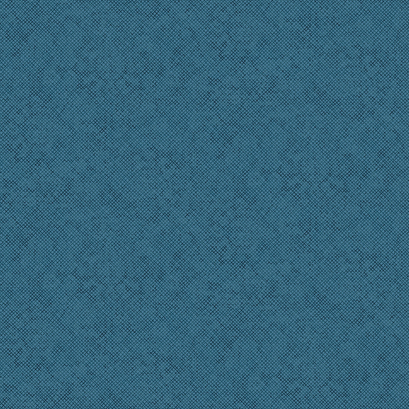 ACSH23 All Carolinas Shop Hop 2023 Quilt Fabric - Whisper Weave in Blue Stone - 13610 53
