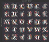 Adventale Quilt Fabric -  Jingle All the Letters Panel - ADV25918 - SOLD AS A 36" PANEL
