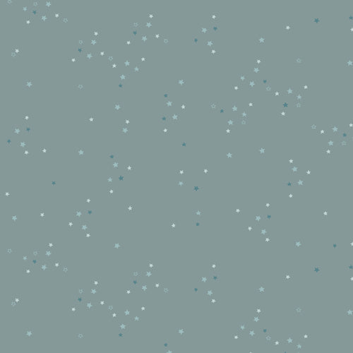 Adventale Quilt Fabric - Twinkle Little Stars in Sky Blue - ADV25907