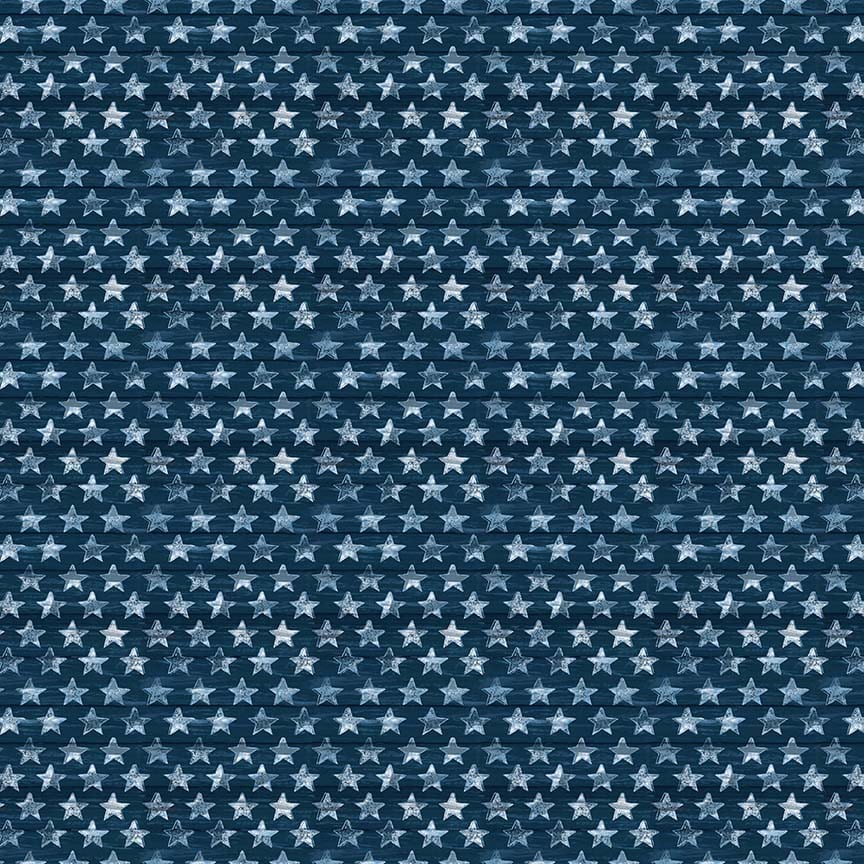 Adventure Awaits Quilt Fabric - Small Stars in Navy - 2946-77