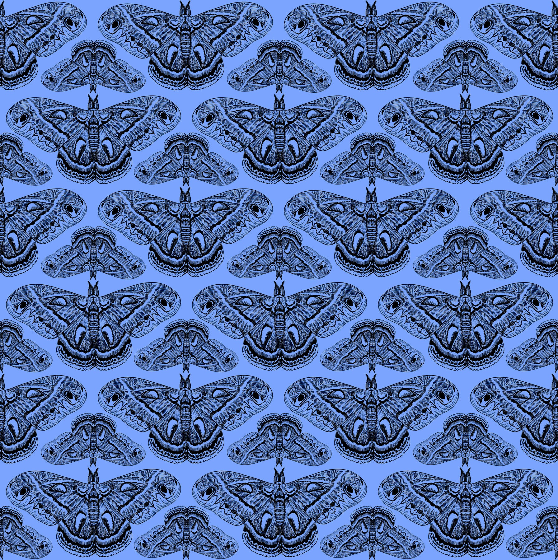 Anna Maria Indelible Ink Quilt Fabric - Cecropia (Moths) in Cerulean - AMT1006-45C