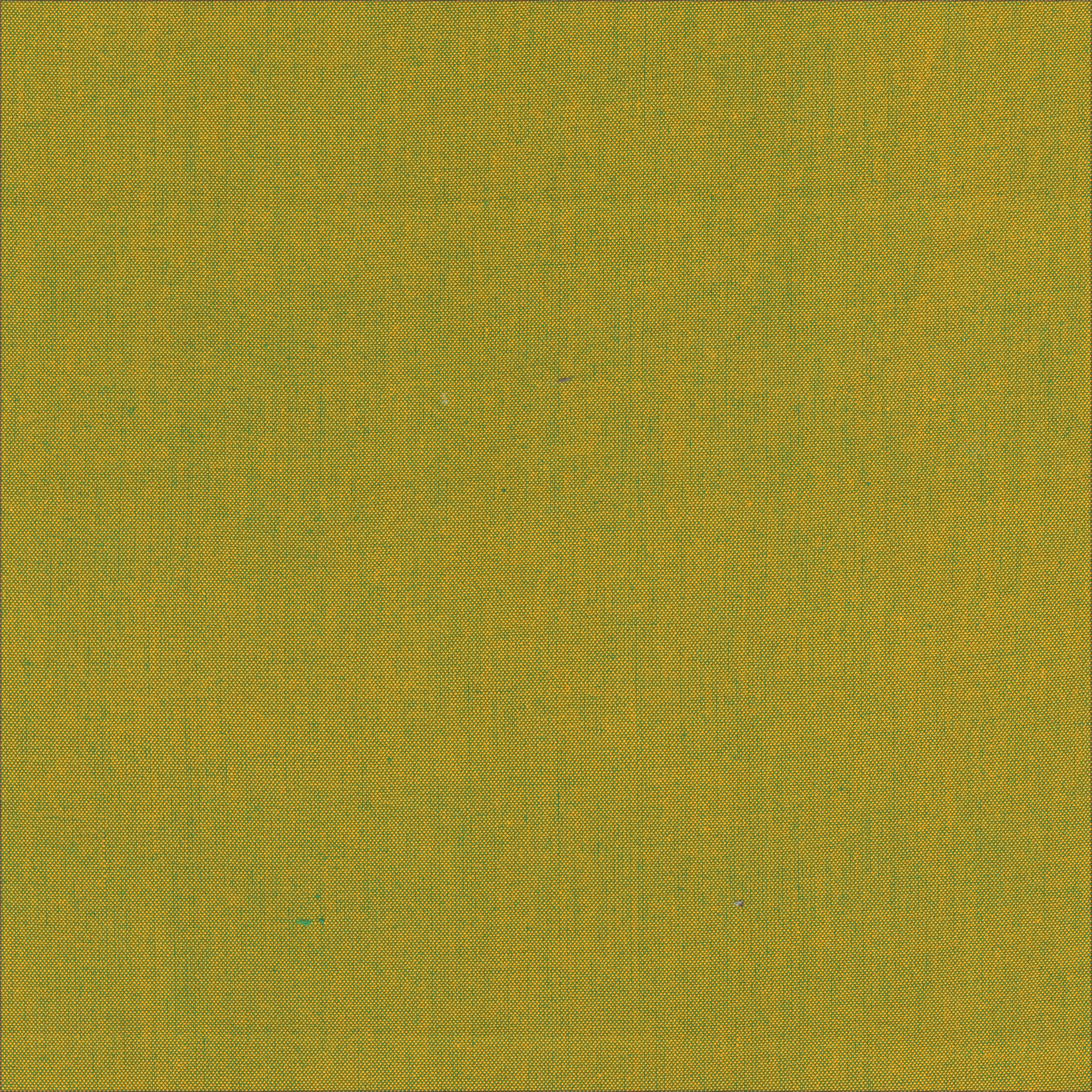 Artisan Cotton Quilt Fabric - Yarn Dye Solid in Green/Cheddar - 40171-138