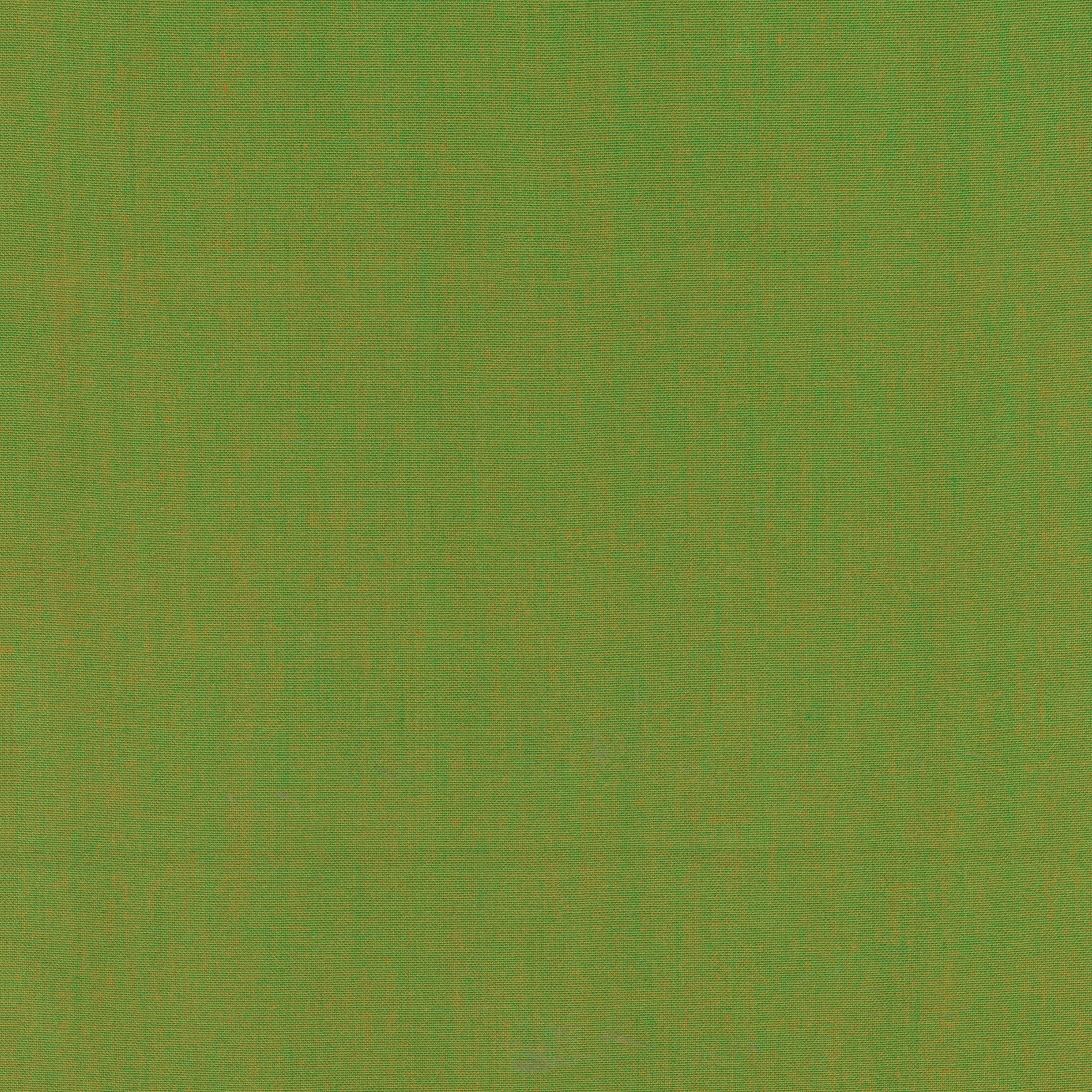 Artisan Cotton Quilt Fabric - Yarn Dye Solid in Poison/Green - 40171-147