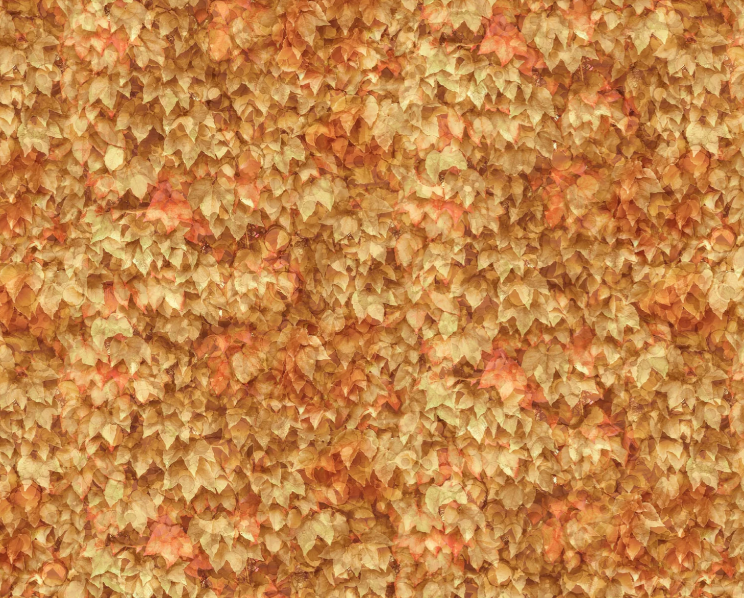 Autumn Breeze Quilt Fabric - Layered Leaves in Light Rust (Orange/Brown) - DP28059-37
