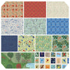 Backyard Wonders Quilt Fabric - Fat Stack - 10 Fat Quarters + 2 One Yard Cuts - FB4FSAT.BACKYARD