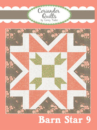 Barn Star 9 Wall Hanging Pattern - CQP223