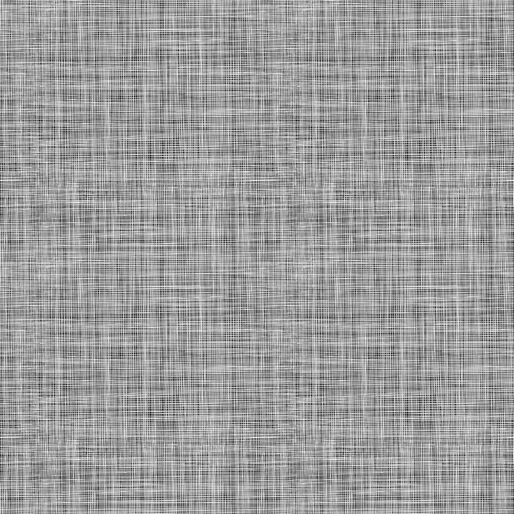 Basically Black and White Quilt Fabric - Lily's Linen in Negative - 10729-98