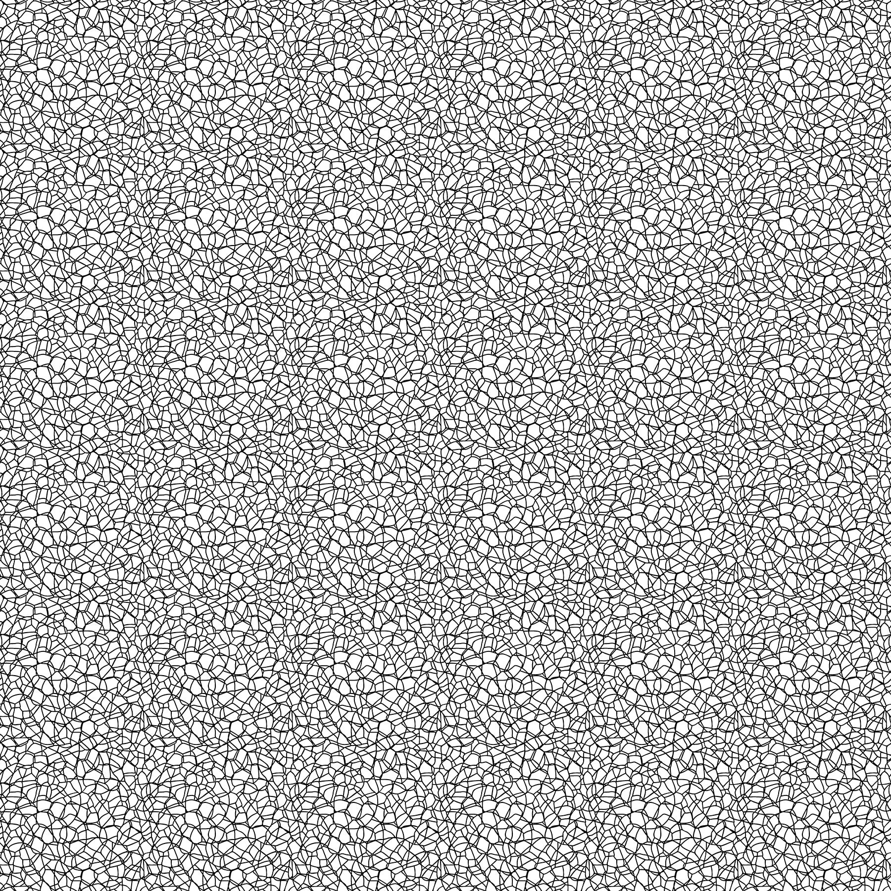 Basically Black and White Quilt Fabric - Voronoi in Positive - 10725-11