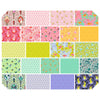 Besties Quilt Fabric by Tula Pink - 22 Piece Fat Quarter Bundle - FB4FQTP.BESTIES