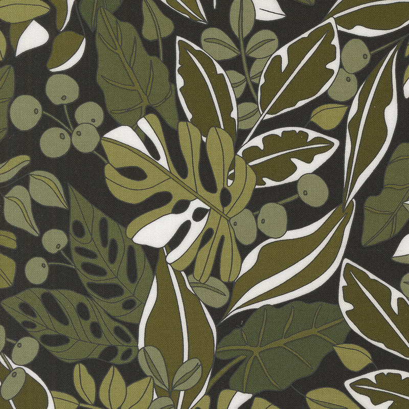 Botany Quilt Fabric - Greenery in Ink Black/Green - 11551 12