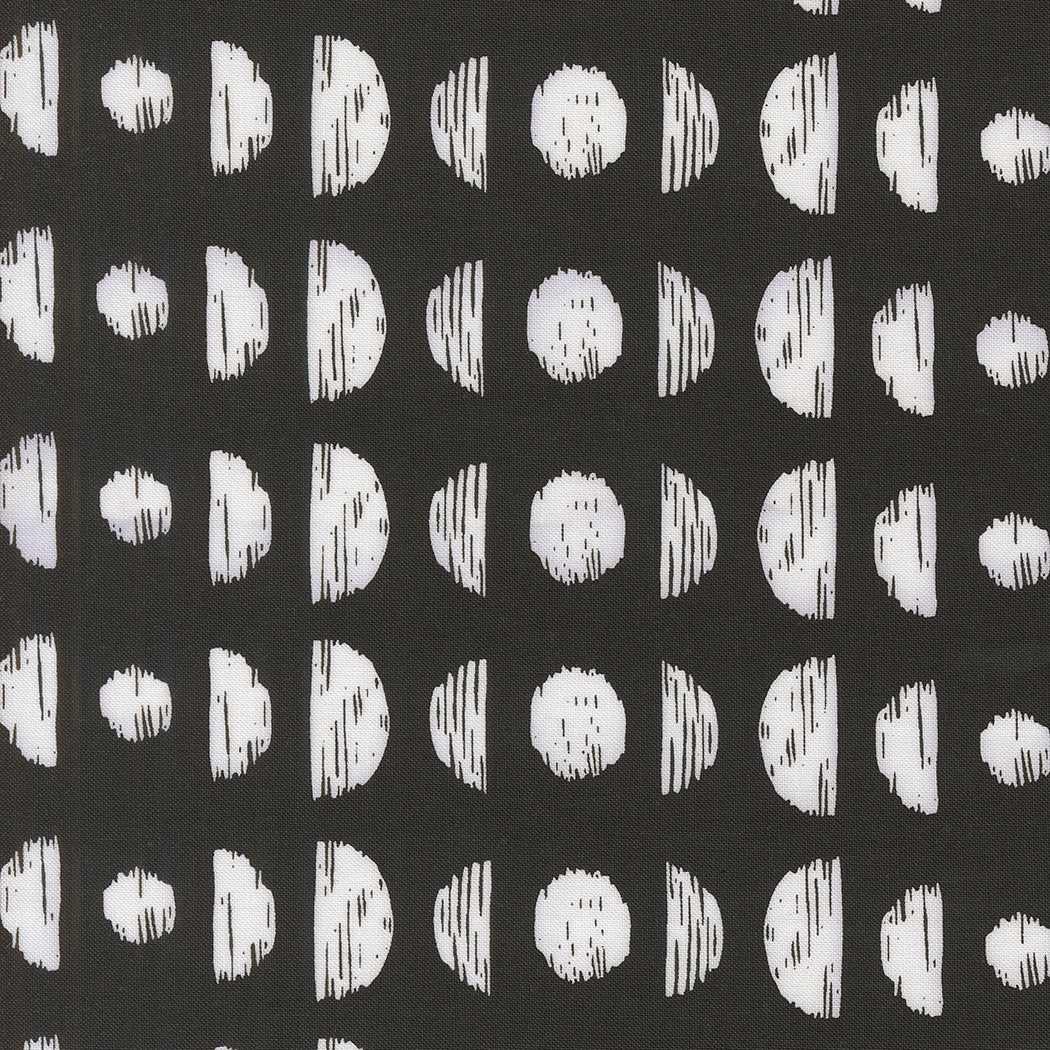 Botany Quilt Fabric - Phases in Ink Black - 11553 22
