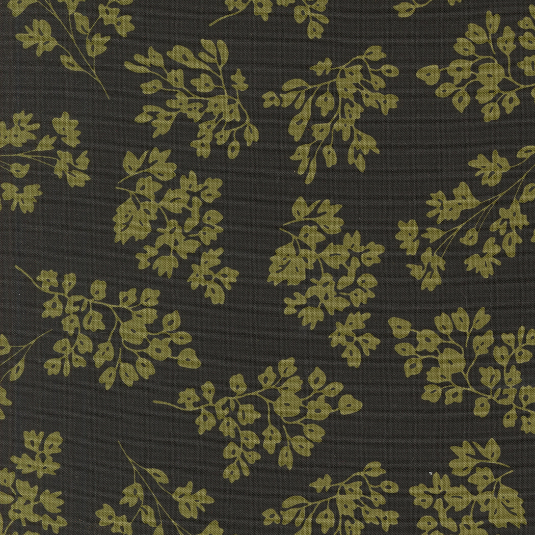 Botany Quilt Fabric - Seedlings in Ink Black - 11555 12