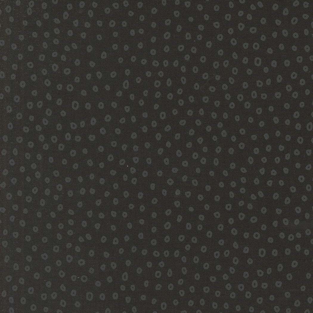 Botany Quilt Fabric - Seeds in Ink Black - 11556 22
