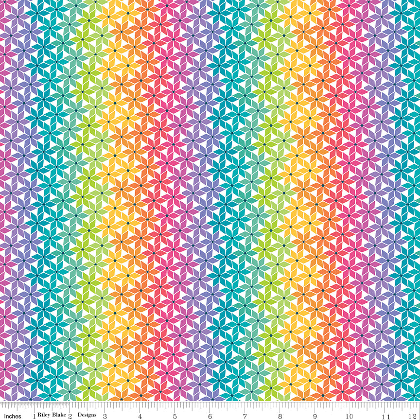 Chasing Rainbows Quilt Fabric - Stellar Weave in Rainbow Multi - C18014-RAINBOW