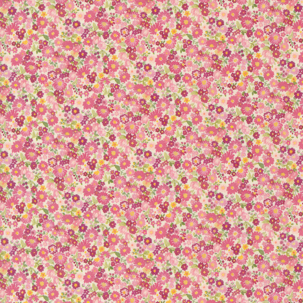 Chelsea Garden Quilt Fabric - Galavanting Garden in Cameo Pink - 33746 14