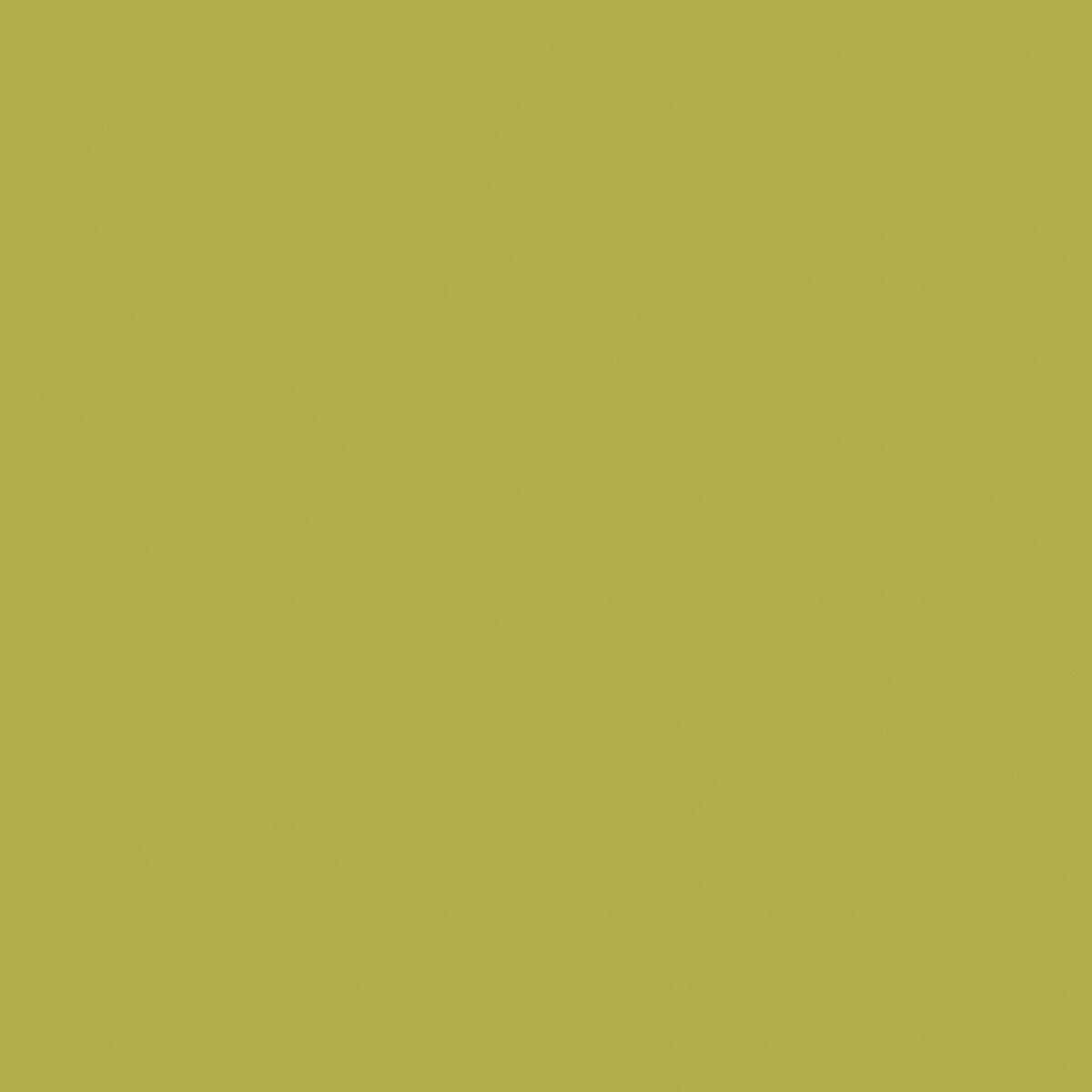 Confetti Cotton Solid Quilt Fabric - Asparagus - C120-ASPARAGUS