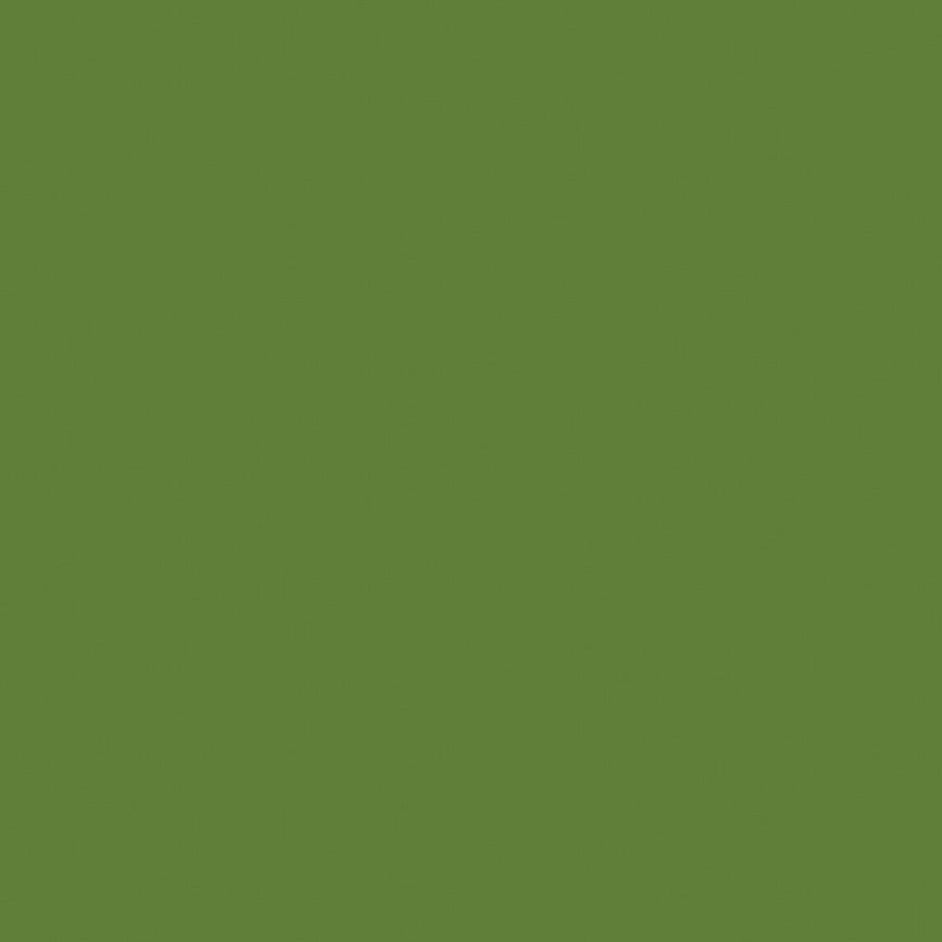 Confetti Cotton Solid Quilt Fabric - Lily Pad Green - C120-LILYPAD