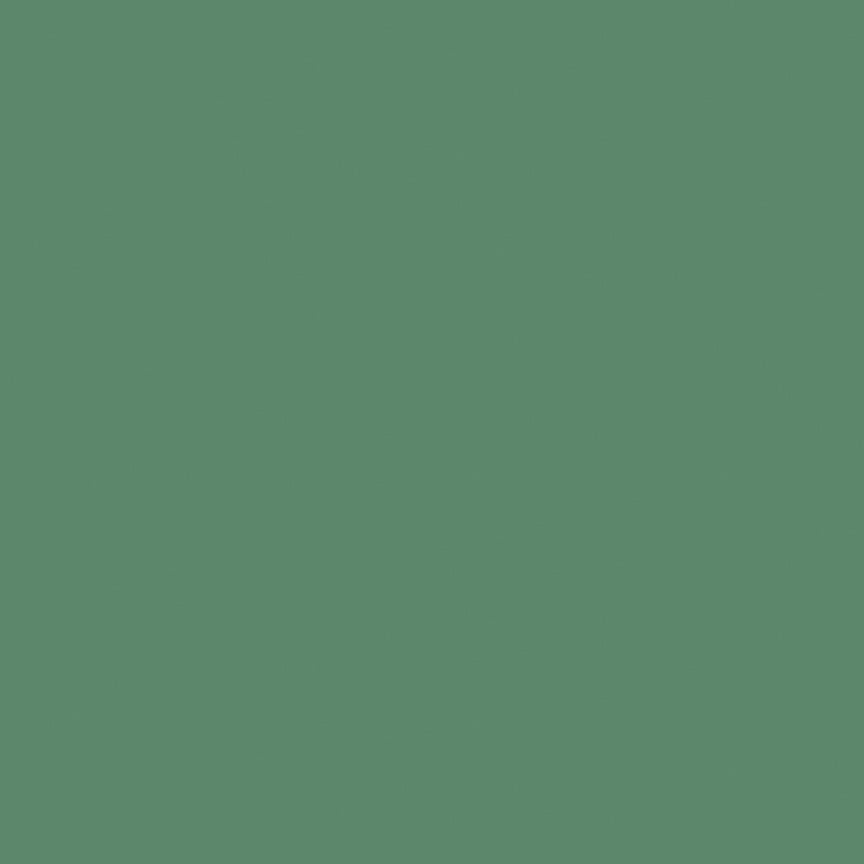 Confetti Cotton Solid Quilt Fabric - Lodge Pole Green - C120-LODGEPOLE