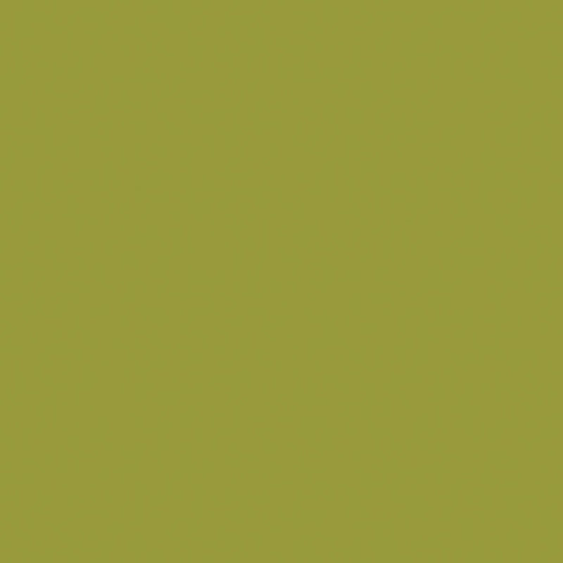 Confetti Cotton Solid Quilt Fabric - Moss Green - C120-MOSS