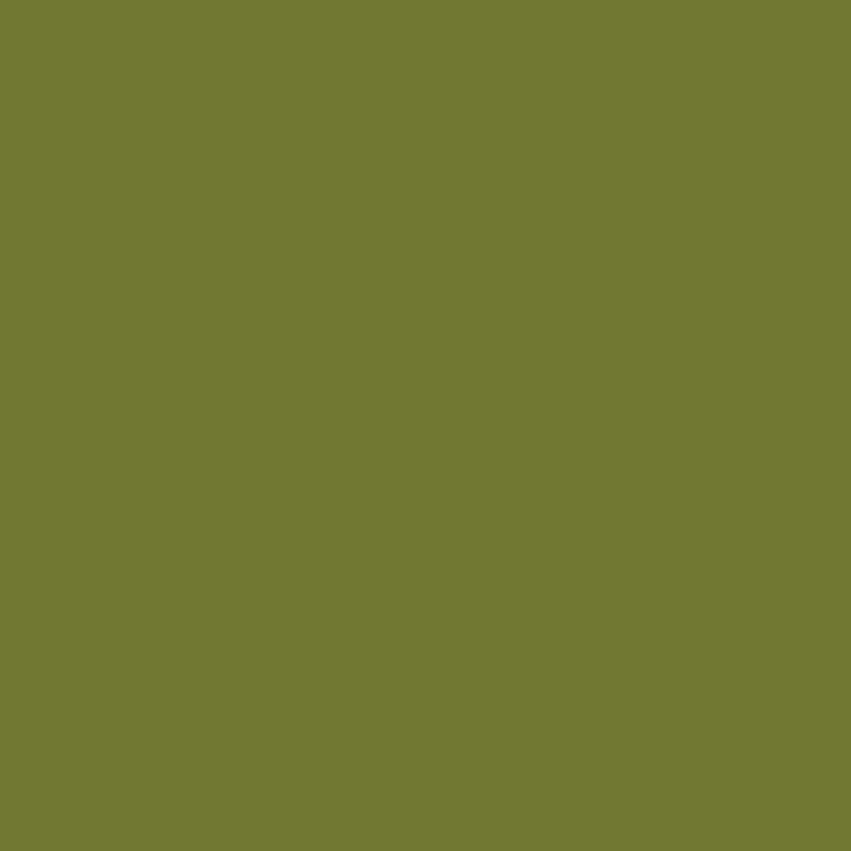 Confetti Cotton Solid Quilt Fabric - Parsley Green - C120-PARSLEY