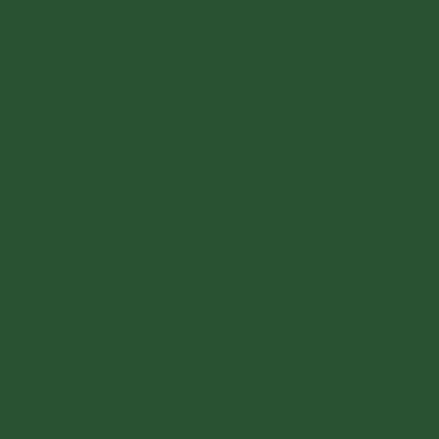 Confetti Cotton Solid Quilt Fabric - Timberline Green - C120-TIMBERLINE