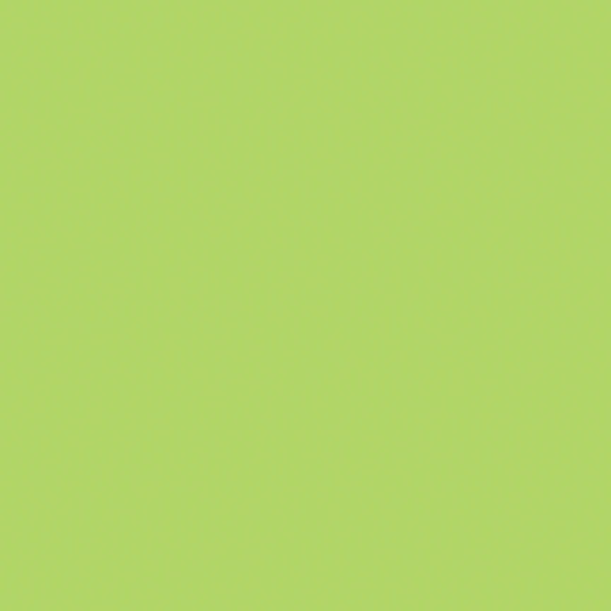 Confetti Cotton Solid Quilt Fabric - Wasabi Green - C120-WASABI