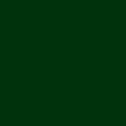 Confetti Cotton Solid Quilt Fabric - Woodland (Dk. Green) - C120-WOODLAND