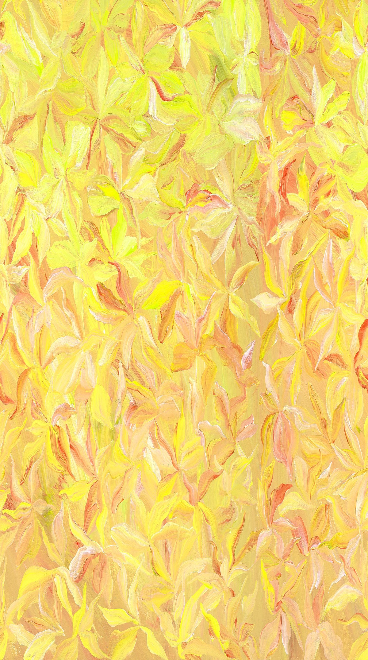 Dandelions and Daisies Quilt Fabric - Daisy Petals in Gold - 40050-53