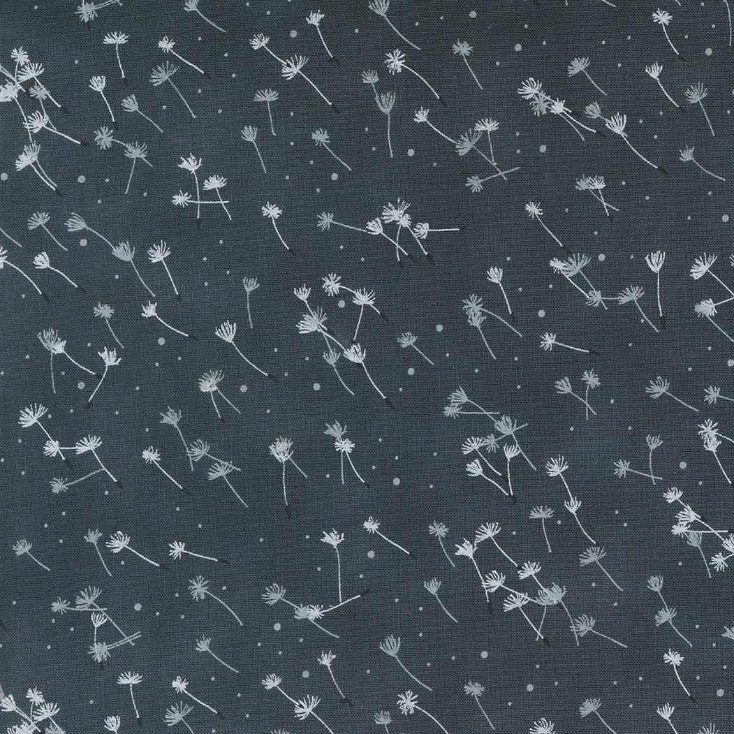 Dandi Duo Quilt Fabric - Flyaway Seeds in Charcoal Gray/Black - 48756 18