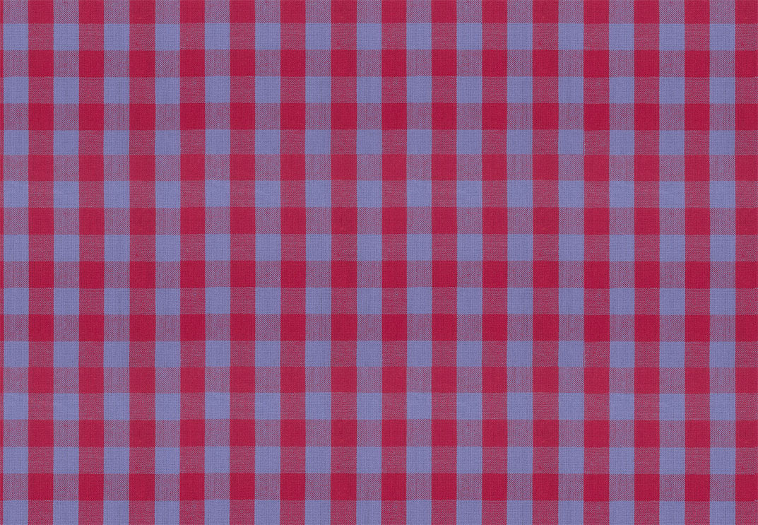 Garden Variety Yarn Dyed Woven Quilt Fabric by Anna Maria Parry - Common Ground in Jester Blue/Red - WAMT101-45C