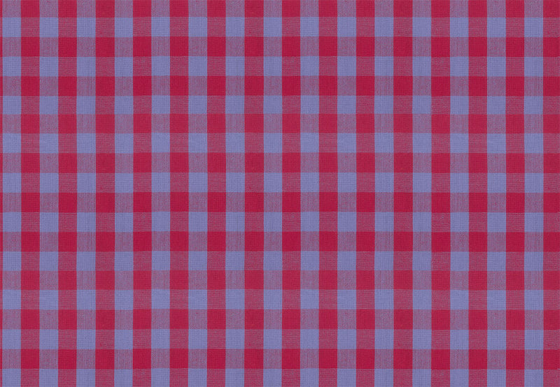 Garden Variety Yarn Dyed Woven Quilt Fabric by Anna Maria Parry - Common Ground in Jester Blue/Red - WAMT101-45C