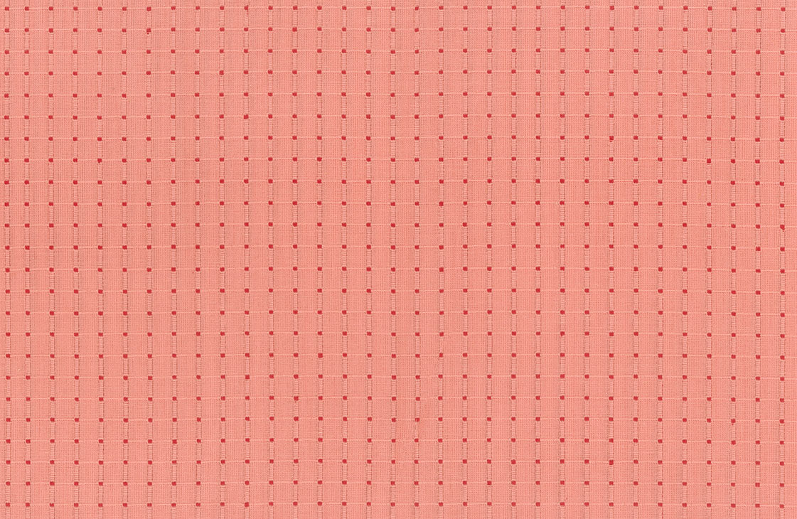 Garden Variety Yarn Dyed Woven Quilt Fabric by Anna Maria Parry - Seeds in Poppy Pink - WAMT100-23C