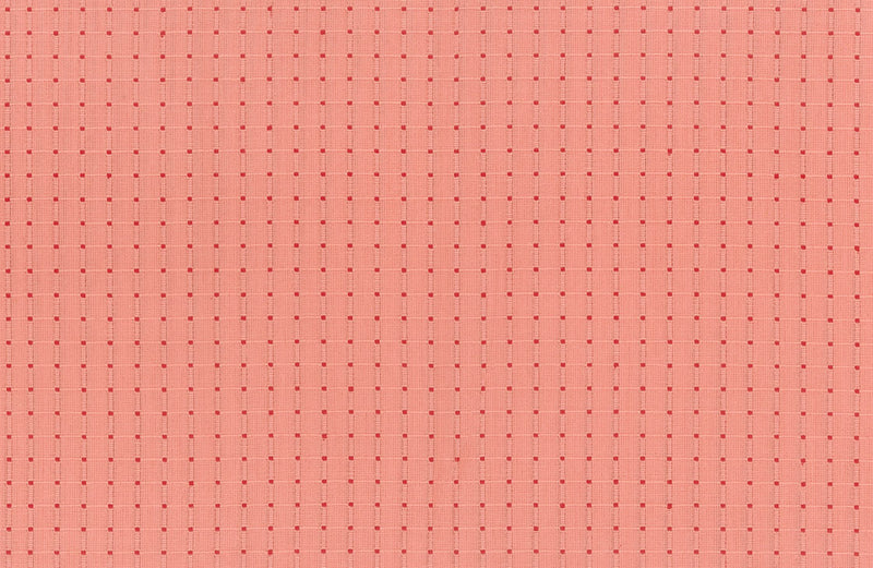 Garden Variety Yarn Dyed Woven Quilt Fabric by Anna Maria Parry - Seeds in Poppy Pink - WAMT100-23C
