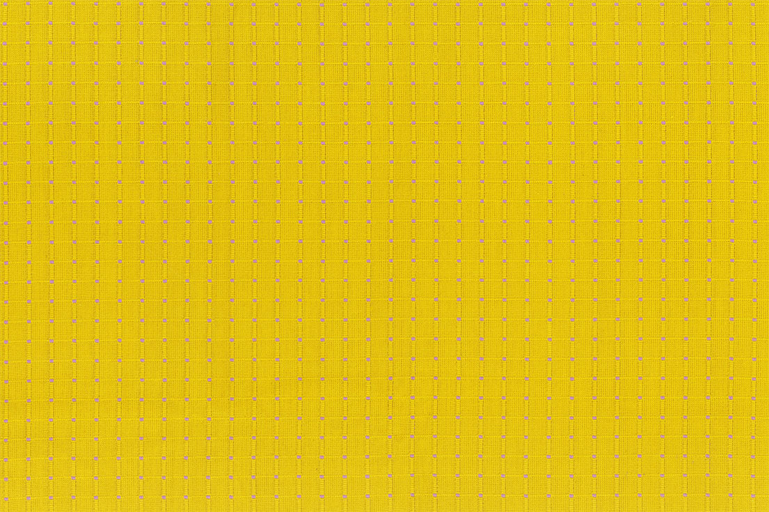 Garden Variety Yarn Dyed Woven Quilt Fabric by Anna Maria Parry - Seeds in Zinnia Yellow - WAMT100-54V