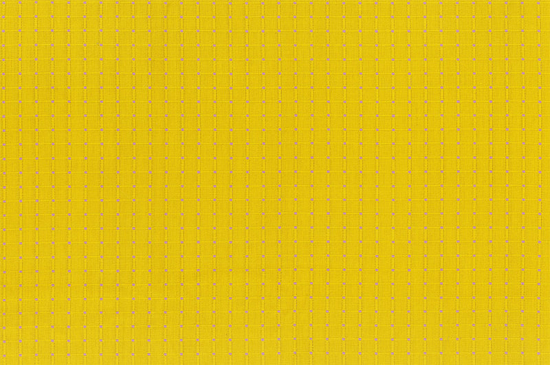 Garden Variety Yarn Dyed Woven Quilt Fabric by Anna Maria Parry - Seeds in Zinnia Yellow - WAMT100-54V