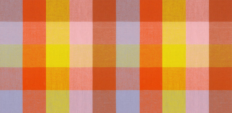 Garden Variety Yarn Dyed Woven Quilt Fabric by Anna Maria Parry - Windowbox in Sunset Yellow/Orange - WAMT102-53V