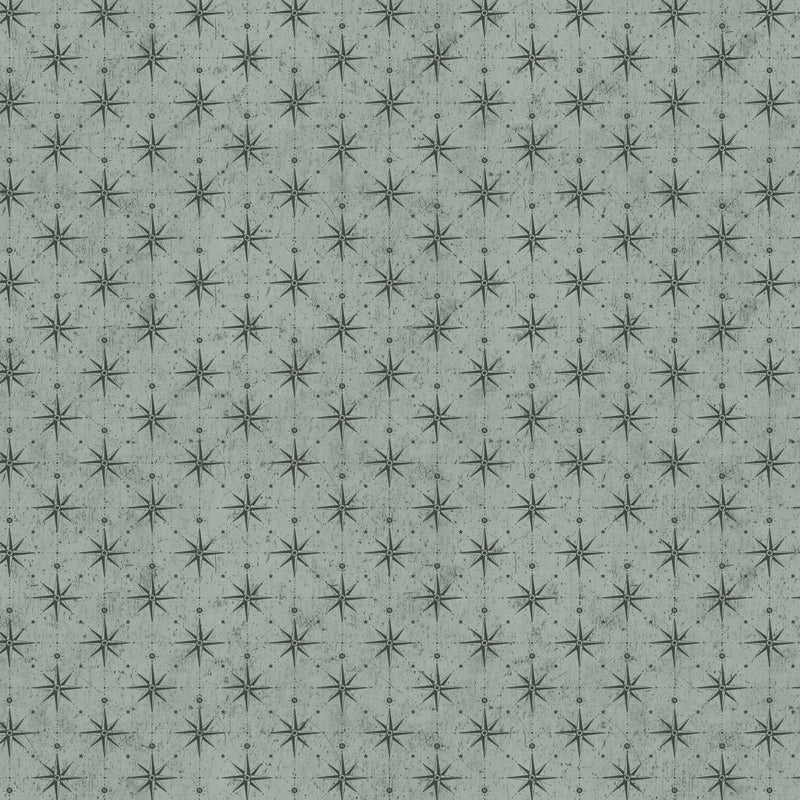 Great Journey Quilt Fabric - Compass in Green - 90789-73