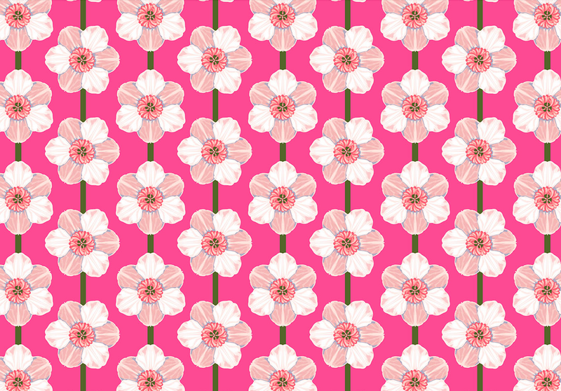 Iconic Quilt Fabric by Anna Maria Parry - Daffodil in Bubblegum Pink - AMT125-28C