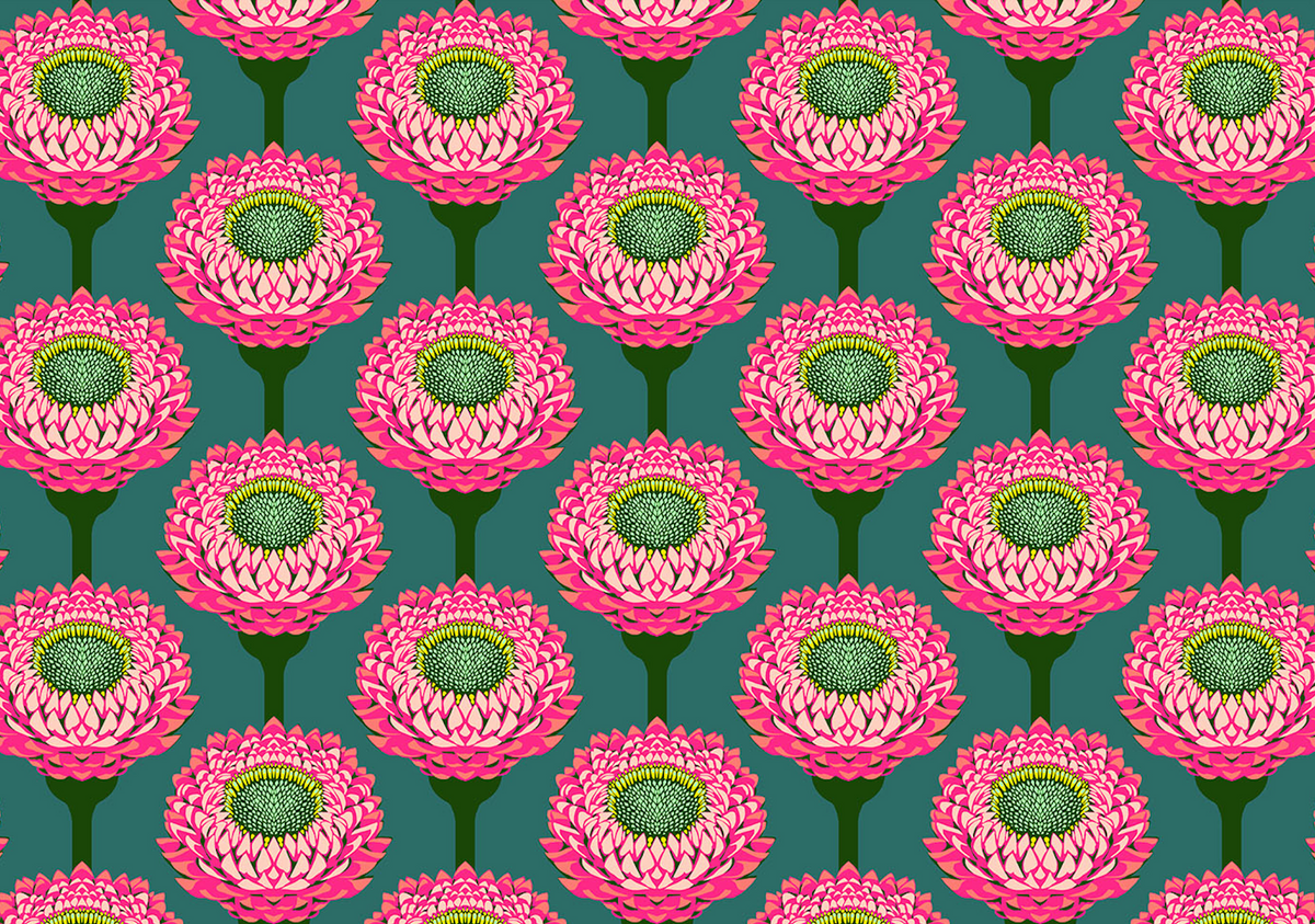 Iconic Quilt Fabric by Anna Maria Parry - Strawflower in Bursting Teal/Pink - AMT123-28L
