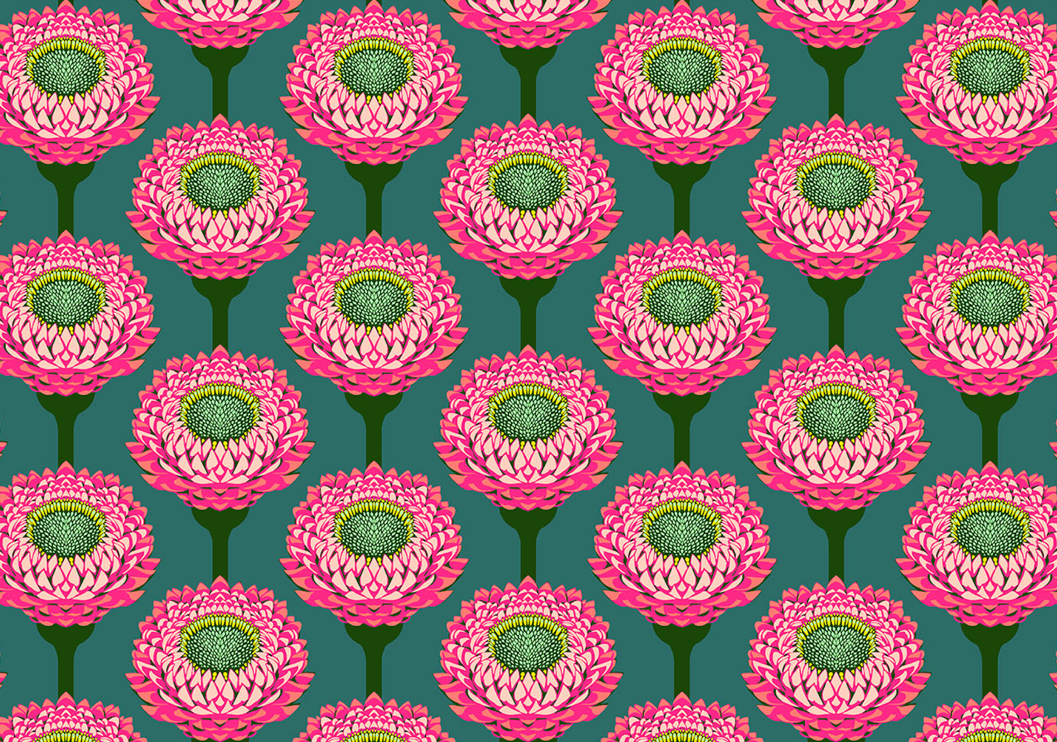 Iconic Quilt Fabric by Anna Maria Parry - Strawflower in Bursting Teal/Pink - AMT123-28L