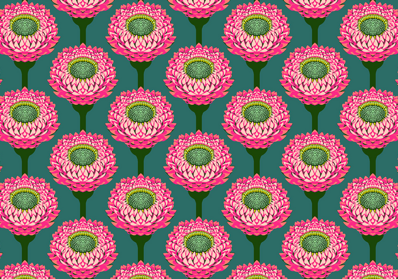Iconic Quilt Fabric by Anna Maria Parry - Strawflower in Bursting Teal/Pink - AMT123-28L